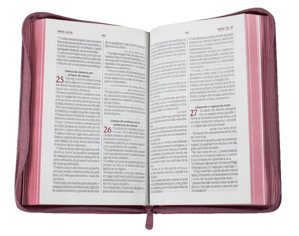 Biblia RV60 con flores rosada - Imagen 3