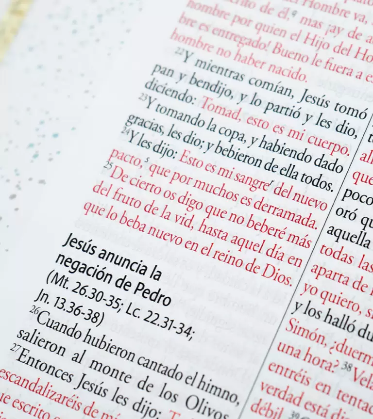 Biblia RV60 letra gigante - Imagen 3