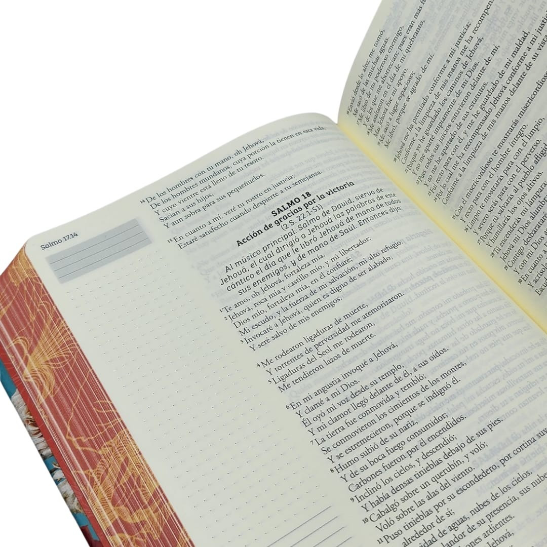 Biblia de apuntes RV60 - Imagen 2