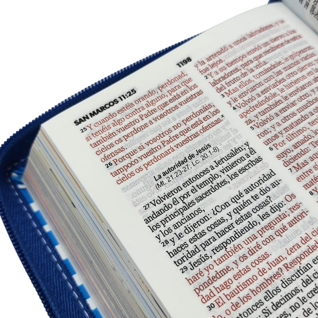 Biblia mi gran viaje RV60 niño - Imagen 2